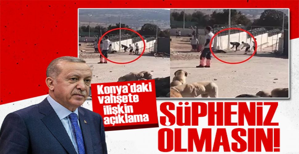 Erdoğan'dan barınak vahşetiyle ilgili açıklama: Kimse şüphe etmesin